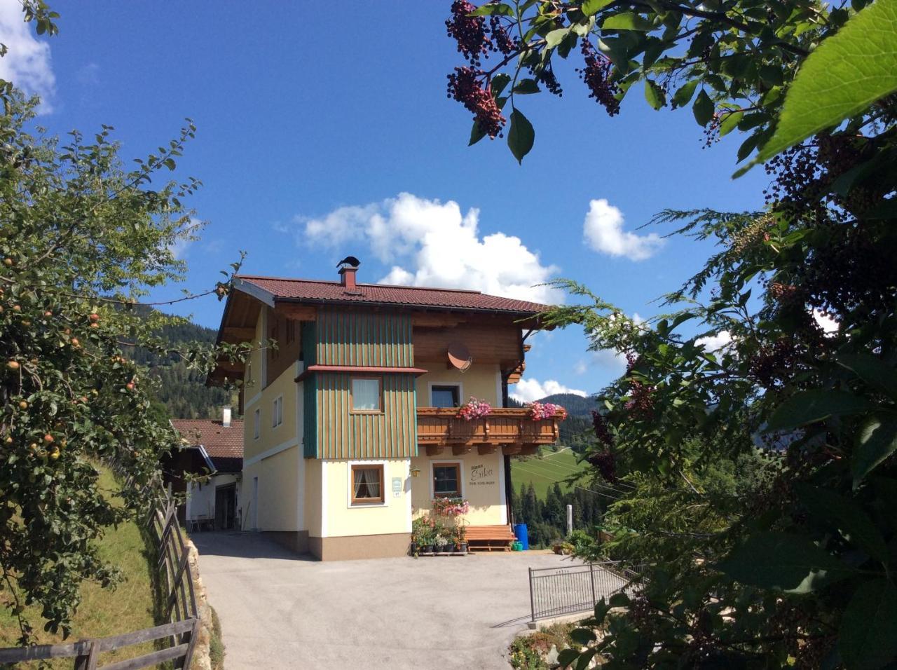 Apartamento Haus Erika Wagrain Exterior foto